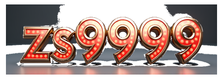 zs9999 logo